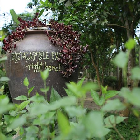 Thuy Bieu Homestay Хюе Екстер'єр фото
