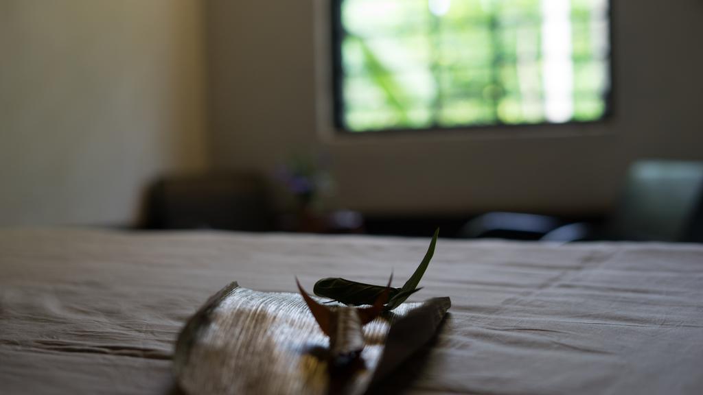 Thuy Bieu Homestay Хюе Екстер'єр фото