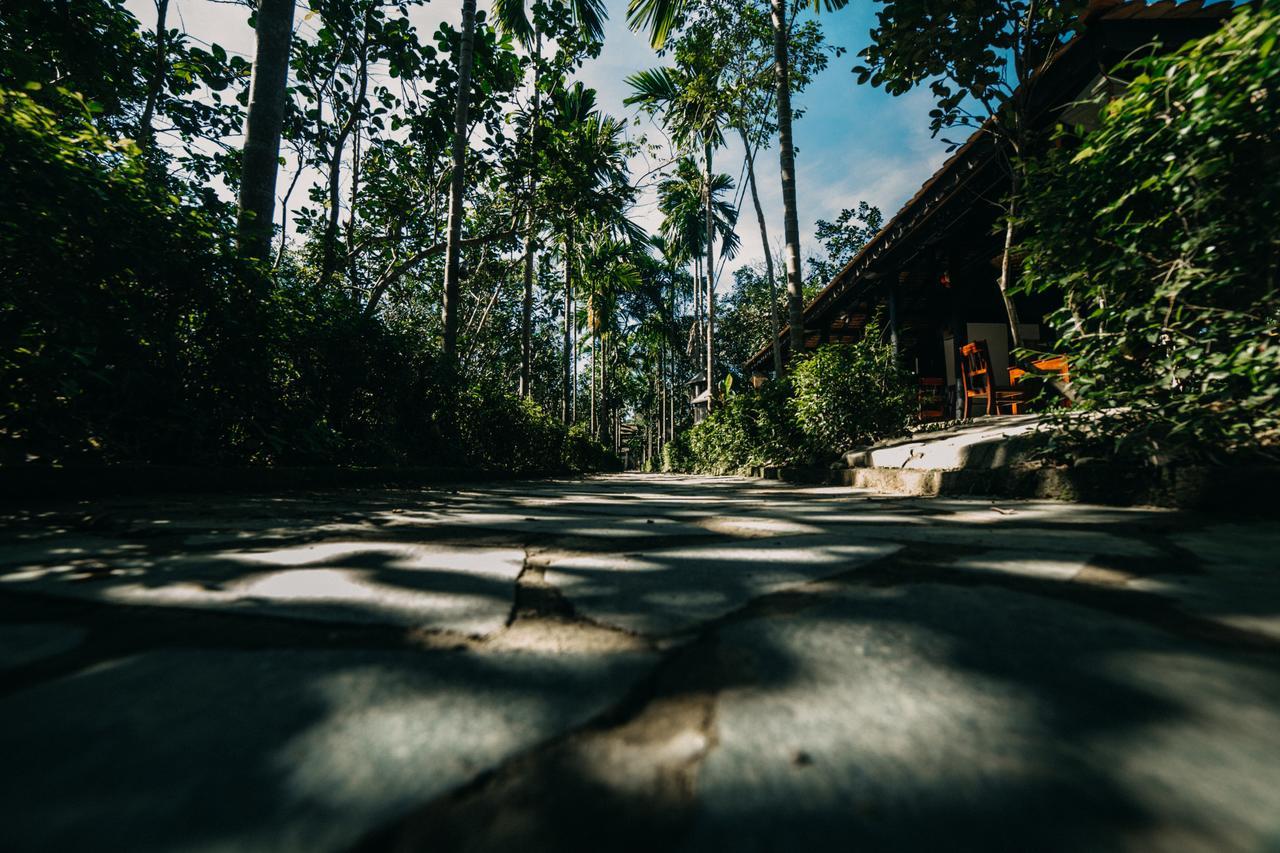 Thuy Bieu Homestay Хюе Номер фото