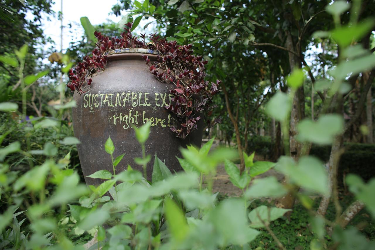 Thuy Bieu Homestay Хюе Екстер'єр фото