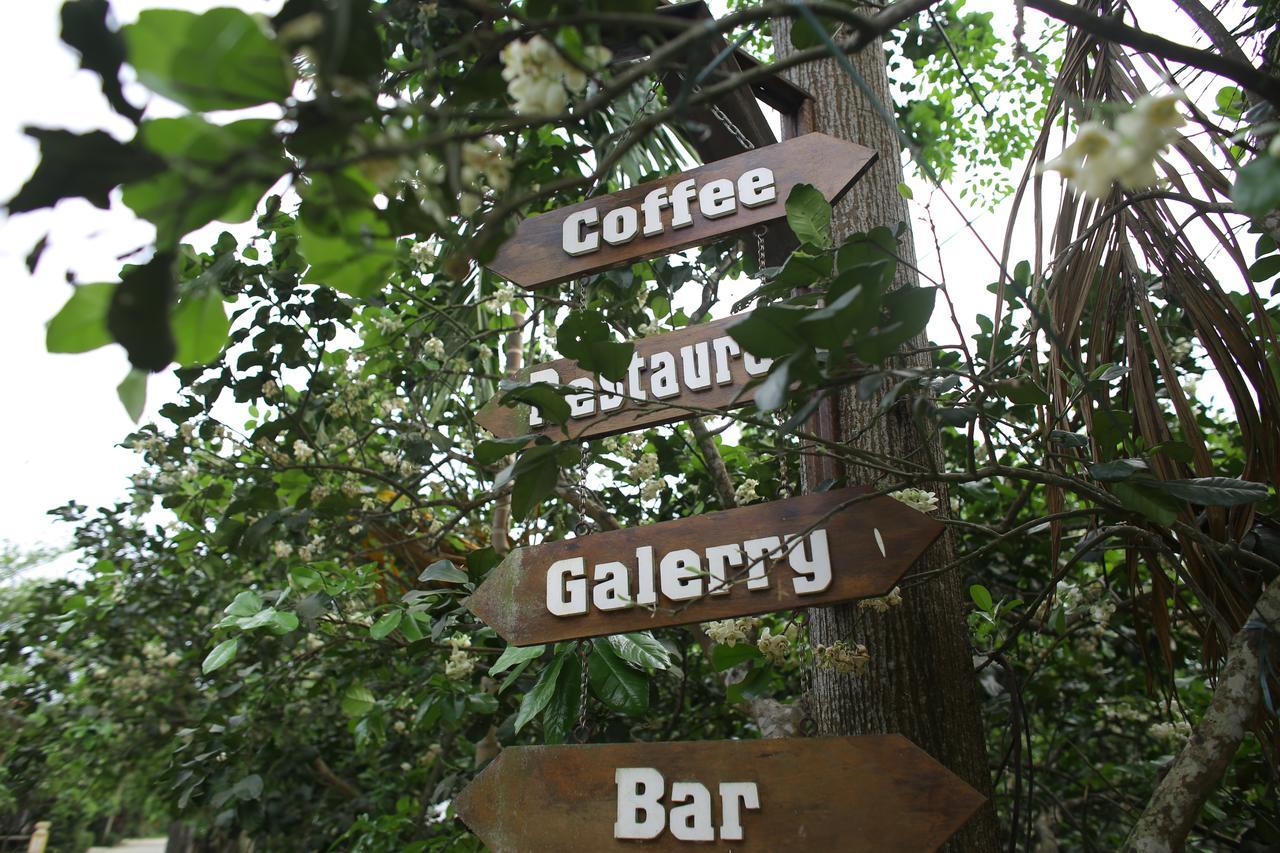 Thuy Bieu Homestay Хюе Екстер'єр фото