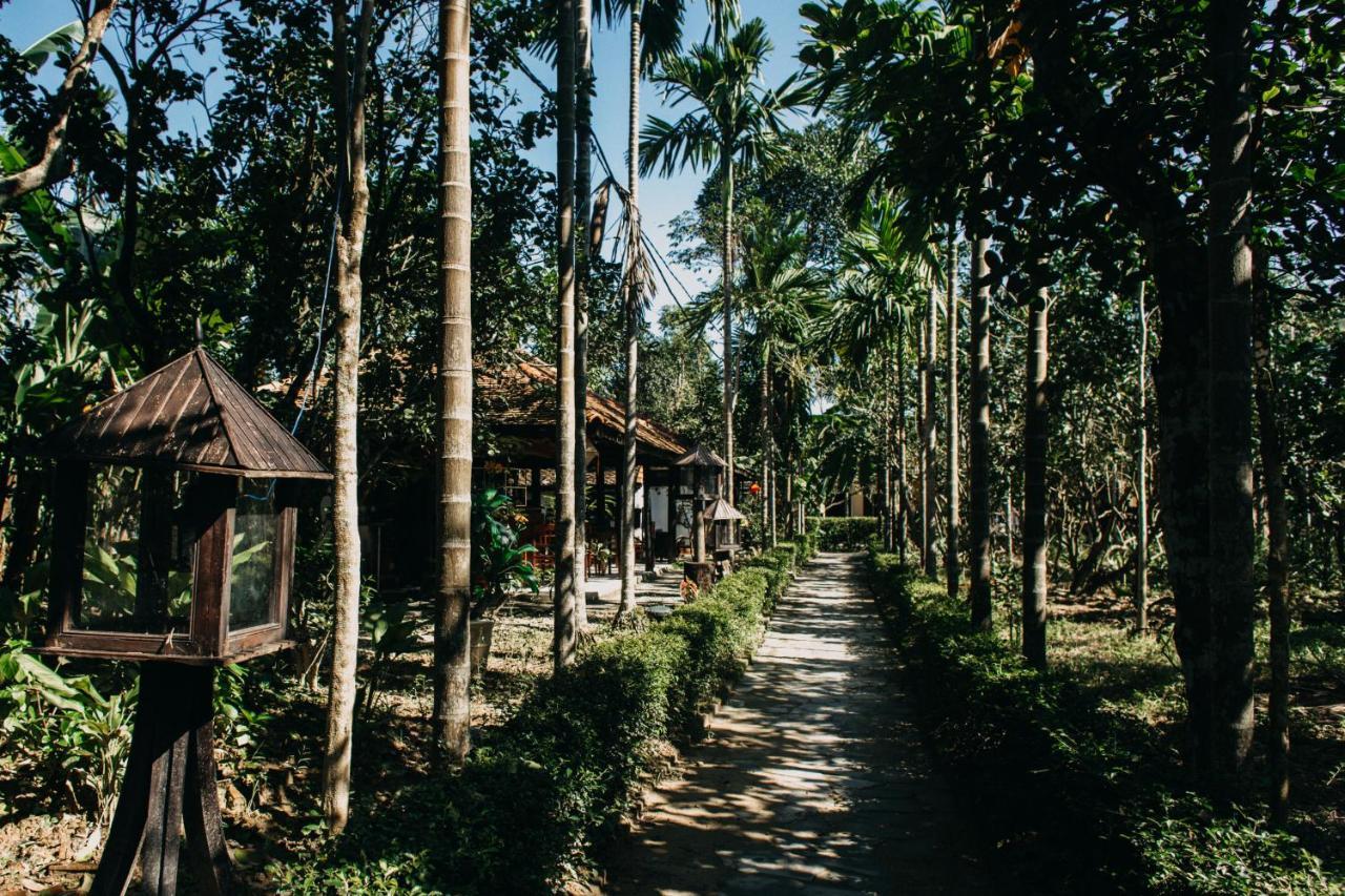 Thuy Bieu Homestay Хюе Екстер'єр фото